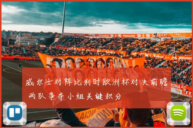 威尔士对阵比利时欧洲杯对决前瞻 两队争夺小组关键积分