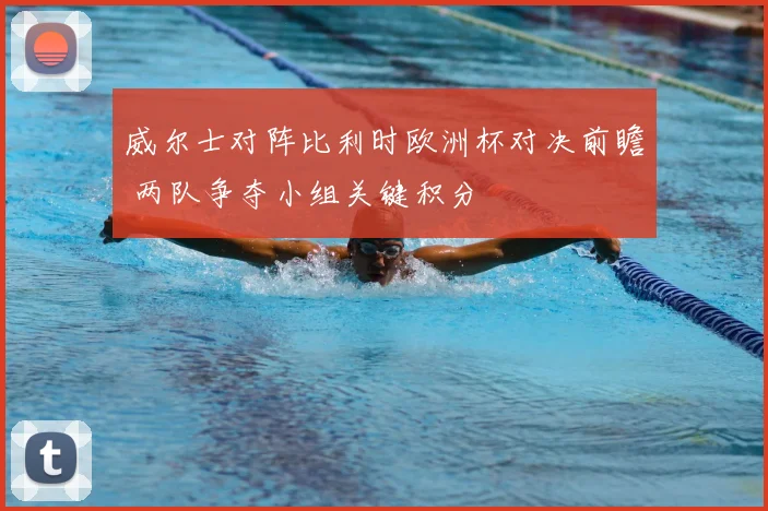 威尔士对阵比利时欧洲杯对决前瞻 两队争夺小组关键积分