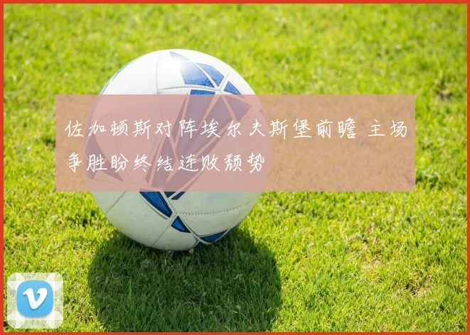 佐加顿斯对阵埃尔夫斯堡前瞻 主场争胜盼终结连败颓势